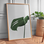 Load image into Gallery viewer, Grønne Plakater | Smukke planteillustrationer til dit hjem | Plakat med grønne planter, botanisk kunst og naturplanter, ideel til at tilføje et organisk og livligt præg til dit hjem.
