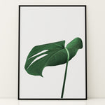 Load image into Gallery viewer, Grønne Plakater | Smukke planteillustrationer til dit hjem | Plakat med grønne planter, botanisk kunst og naturplanter, ideel til at tilføje et organisk og livligt præg til dit hjem.
