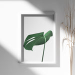 Load image into Gallery viewer, Grønne Plakater | Smukke planteillustrationer til dit hjem | Plakat med grønne planter, botanisk kunst og naturplanter, ideel til at tilføje et organisk og livligt præg til dit hjem.
