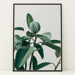 Load image into Gallery viewer, Planteplakat | Smukt print med naturens skønhed til dit hjem | Plakat med grønne planter, botanisk kunst og naturplanter, ideel til at tilføje et organisk og livligt præg til dit hjem.
