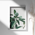 Load image into Gallery viewer, Planteplakat | Smukt print med naturens skønhed til dit hjem | Plakat med grønne planter, botanisk kunst og naturplanter, ideel til at tilføje et organisk og livligt præg til dit hjem.

