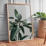 Load image into Gallery viewer, Planteplakat | Smukt print med naturens skønhed til dit hjem | Plakat med grønne planter, botanisk kunst og naturplanter, ideel til at tilføje et organisk og livligt præg til dit hjem.
