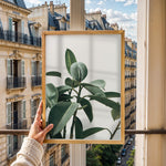 Load image into Gallery viewer, Planteplakat | Smukt print med naturens skønhed til dit hjem | Plakat med grønne planter, botanisk kunst og naturplanter, ideel til at tilføje et organisk og livligt præg til dit hjem.
