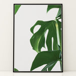 Load image into Gallery viewer, Naturinspirerede Plakater | Elegante planter og blomster til din bolig | Plakat med grønne planter, botanisk kunst og naturplanter, ideel til at tilføje et organisk og livligt præg til dit hjem.
