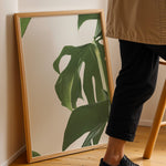 Load image into Gallery viewer, Naturinspirerede Plakater | Elegante planter og blomster til din bolig | Plakat med grønne planter, botanisk kunst og naturplanter, ideel til at tilføje et organisk og livligt præg til dit hjem.
