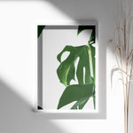 Load image into Gallery viewer, Naturinspirerede Plakater | Elegante planter og blomster til din bolig | Plakat med grønne planter, botanisk kunst og naturplanter, ideel til at tilføje et organisk og livligt præg til dit hjem.
