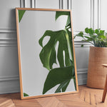 Load image into Gallery viewer, Naturinspirerede Plakater | Elegante planter og blomster til din bolig | Plakat med grønne planter, botanisk kunst og naturplanter, ideel til at tilføje et organisk og livligt præg til dit hjem.
