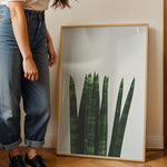 Load image into Gallery viewer, Plakater med Plantemotiver | Stilfulde designs til stue og kontor | Plakat med grønne planter, botanisk kunst og naturplanter, ideel til at tilføje et organisk og livligt præg til dit hjem.
