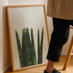 Load image into Gallery viewer, Plakater med Plantemotiver | Stilfulde designs til stue og kontor | Plakat med grønne planter, botanisk kunst og naturplanter, ideel til at tilføje et organisk og livligt præg til dit hjem.
