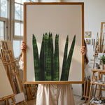 Load image into Gallery viewer, Plakater med Plantemotiver | Stilfulde designs til stue og kontor | Plakat med grønne planter, botanisk kunst og naturplanter, ideel til at tilføje et organisk og livligt præg til dit hjem.
