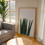 Load image into Gallery viewer, Plakater med Plantemotiver | Stilfulde designs til stue og kontor | Plakat med grønne planter, botanisk kunst og naturplanter, ideel til at tilføje et organisk og livligt præg til dit hjem.
