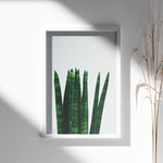 Load image into Gallery viewer, Plakater med Plantemotiver | Stilfulde designs til stue og kontor | Plakat med grønne planter, botanisk kunst og naturplanter, ideel til at tilføje et organisk og livligt præg til dit hjem.
