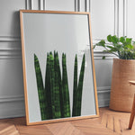 Load image into Gallery viewer, Plakater med Plantemotiver | Stilfulde designs til stue og kontor | Plakat med grønne planter, botanisk kunst og naturplanter, ideel til at tilføje et organisk og livligt præg til dit hjem.

