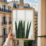 Load image into Gallery viewer, Plakater med Plantemotiver | Stilfulde designs til stue og kontor | Plakat med grønne planter, botanisk kunst og naturplanter, ideel til at tilføje et organisk og livligt præg til dit hjem.
