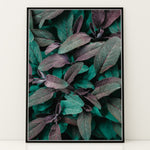 Load image into Gallery viewer, Naturens Elegance | Plakater med detaljerede planteillustrationer | Plakat med grønne planter, botanisk kunst og naturplanter, ideel til at tilføje et organisk og livligt præg til dit hjem.
