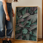 Load image into Gallery viewer, Naturens Elegance | Plakater med detaljerede planteillustrationer | Plakat med grønne planter, botanisk kunst og naturplanter, ideel til at tilføje et organisk og livligt præg til dit hjem.
