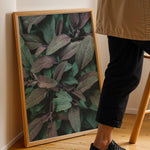 Load image into Gallery viewer, Naturens Elegance | Plakater med detaljerede planteillustrationer | Plakat med grønne planter, botanisk kunst og naturplanter, ideel til at tilføje et organisk og livligt præg til dit hjem.

