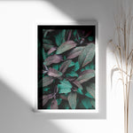 Load image into Gallery viewer, Naturens Elegance | Plakater med detaljerede planteillustrationer | Plakat med grønne planter, botanisk kunst og naturplanter, ideel til at tilføje et organisk og livligt præg til dit hjem.
