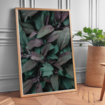 Load image into Gallery viewer, Naturens Elegance | Plakater med detaljerede planteillustrationer | Plakat med grønne planter, botanisk kunst og naturplanter, ideel til at tilføje et organisk og livligt præg til dit hjem.

