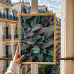 Load image into Gallery viewer, Naturens Elegance | Plakater med detaljerede planteillustrationer | Plakat med grønne planter, botanisk kunst og naturplanter, ideel til at tilføje et organisk og livligt præg til dit hjem.
