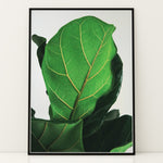 Load image into Gallery viewer, Grøn Vægkunst | Realistiske plante plakater til indretning | Plakat med grønne planter, botanisk kunst og naturplanter, ideel til at tilføje et organisk og livligt præg til dit hjem.

