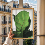 Load image into Gallery viewer, Grøn Vægkunst | Realistiske plante plakater til indretning | Plakat med grønne planter, botanisk kunst og naturplanter, ideel til at tilføje et organisk og livligt præg til dit hjem.

