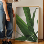 Load image into Gallery viewer, Plantemotiver | Unikke plante illustrationer print til dit hjem | Plakat med grønne planter, botanisk kunst og naturplanter, ideel til at tilføje et organisk og livligt præg til dit hjem.
