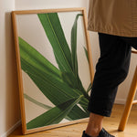 Load image into Gallery viewer, Plantemotiver | Unikke plante illustrationer print til dit hjem | Plakat med grønne planter, botanisk kunst og naturplanter, ideel til at tilføje et organisk og livligt præg til dit hjem.
