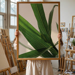Load image into Gallery viewer, Plantemotiver | Unikke plante illustrationer print til dit hjem | Plakat med grønne planter, botanisk kunst og naturplanter, ideel til at tilføje et organisk og livligt præg til dit hjem.
