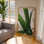 Load image into Gallery viewer, Plantemotiver | Unikke plante illustrationer print til dit hjem | Plakat med grønne planter, botanisk kunst og naturplanter, ideel til at tilføje et organisk og livligt præg til dit hjem.
