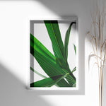 Load image into Gallery viewer, Plantemotiver | Unikke plante illustrationer print til dit hjem | Plakat med grønne planter, botanisk kunst og naturplanter, ideel til at tilføje et organisk og livligt præg til dit hjem.
