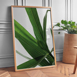 Load image into Gallery viewer, Plantemotiver | Unikke plante illustrationer print til dit hjem | Plakat med grønne planter, botanisk kunst og naturplanter, ideel til at tilføje et organisk og livligt præg til dit hjem.
