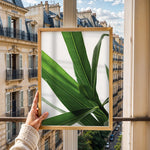 Load image into Gallery viewer, Plantemotiver | Unikke plante illustrationer print til dit hjem | Plakat med grønne planter, botanisk kunst og naturplanter, ideel til at tilføje et organisk og livligt præg til dit hjem.

