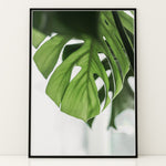 Load image into Gallery viewer, Flora på Væggen | Dekorér dine rum med naturlige designs | Plakat med grønne planter, botanisk kunst og naturplanter, ideel til at tilføje et organisk og livligt præg til dit hjem.
