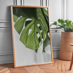 Load image into Gallery viewer, Flora på Væggen | Dekorér dine rum med naturlige designs | Plakat med grønne planter, botanisk kunst og naturplanter, ideel til at tilføje et organisk og livligt præg til dit hjem.
