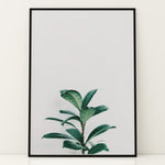 Load image into Gallery viewer, Grønne Vækster | Forfrisk din indretning med naturens skønhed | Plakat med grønne planter, botanisk kunst og naturplanter, ideel til at tilføje et organisk og livligt præg til dit hjem.
