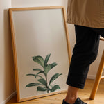 Load image into Gallery viewer, Grønne Vækster | Forfrisk din indretning med naturens skønhed | Plakat med grønne planter, botanisk kunst og naturplanter, ideel til at tilføje et organisk og livligt præg til dit hjem.
