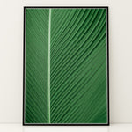 Load image into Gallery viewer, Naturkunst | Smukke planteillustrationer til ethvert rum | Plakat med grønne planter, botanisk kunst og naturplanter, ideel til at tilføje et organisk og livligt præg til dit hjem.
