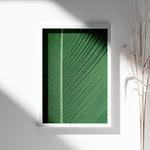 Load image into Gallery viewer, Naturkunst | Smukke planteillustrationer til ethvert rum | Plakat med grønne planter, botanisk kunst og naturplanter, ideel til at tilføje et organisk og livligt præg til dit hjem.
