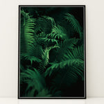 Load image into Gallery viewer, Blomster og Blade | Realistiske motiver til dit hjem | Plakat med grønne planter, botanisk kunst og naturplanter, ideel til at tilføje et organisk og livligt præg til dit hjem.
