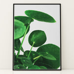 Load image into Gallery viewer, Grønne Vægkunstværker | Planter og natur i din stue | Plakat med grønne planter, botanisk kunst og naturplanter, ideel til at tilføje et organisk og livligt præg til dit hjem.

