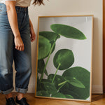 Load image into Gallery viewer, Grønne Vægkunstværker | Planter og natur i din stue | Plakat med grønne planter, botanisk kunst og naturplanter, ideel til at tilføje et organisk og livligt præg til dit hjem.
