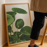 Load image into Gallery viewer, Grønne Vægkunstværker | Planter og natur i din stue | Plakat med grønne planter, botanisk kunst og naturplanter, ideel til at tilføje et organisk og livligt præg til dit hjem.
