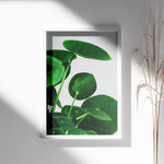 Load image into Gallery viewer, Grønne Vægkunstværker | Planter og natur i din stue | Plakat med grønne planter, botanisk kunst og naturplanter, ideel til at tilføje et organisk og livligt præg til dit hjem.

