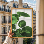 Load image into Gallery viewer, Grønne Vægkunstværker | Planter og natur i din stue | Plakat med grønne planter, botanisk kunst og naturplanter, ideel til at tilføje et organisk og livligt præg til dit hjem.
