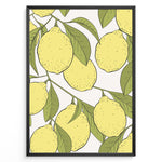 Load image into Gallery viewer, Botanical poster featuring yellow lemons with green leaves on white background, framed in black.
