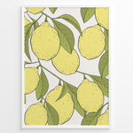 Load image into Gallery viewer, Botanical poster featuring yellow lemons with green leaves on white background, framed in white.
