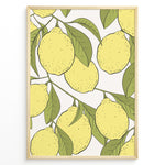 Load image into Gallery viewer, Botanical poster featuring yellow lemons with green leaves on white background, framed in golden.
