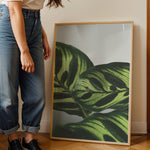 Load image into Gallery viewer, Flora og Fauna | Elegant vægdekoration til boligen | Plakat med grønne planter, botanisk kunst og naturplanter, ideel til at tilføje et organisk og livligt præg til dit hjem.
