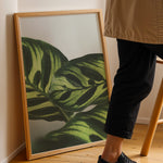 Load image into Gallery viewer, Flora og Fauna | Elegant vægdekoration til boligen | Plakat med grønne planter, botanisk kunst og naturplanter, ideel til at tilføje et organisk og livligt præg til dit hjem.
